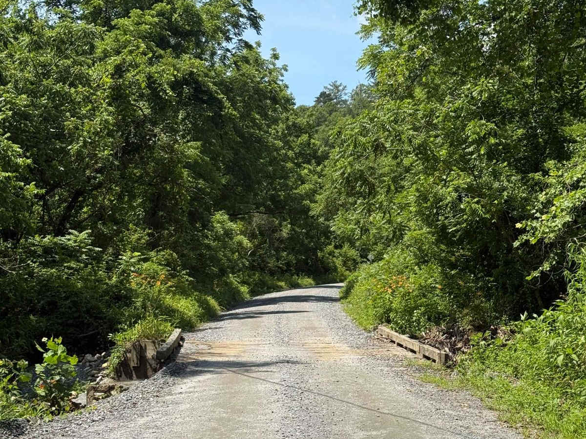 Globe Road photo 4