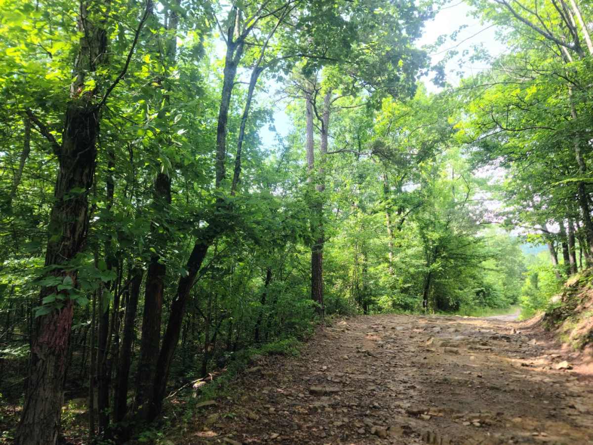 Highland Route - 216 trail photo