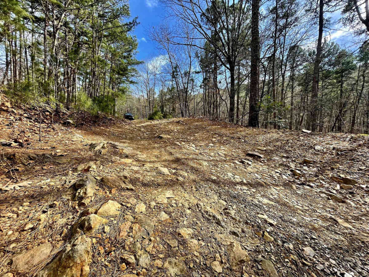Muse Mountain Road photo 4