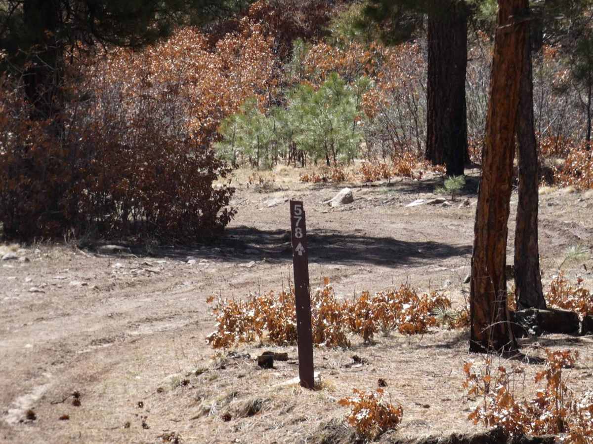 Red Mesa FSR-578 photo 3