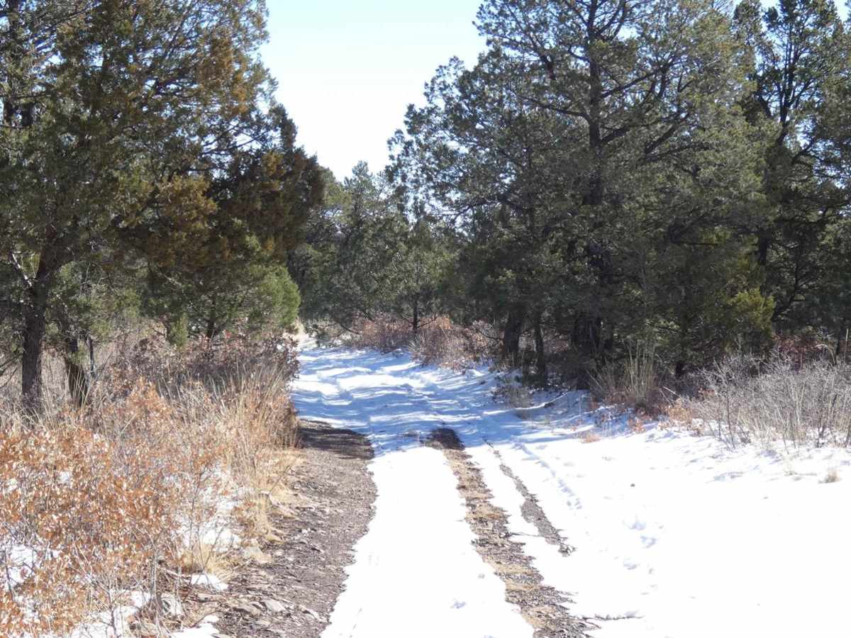 Prather Canyon photo 2
