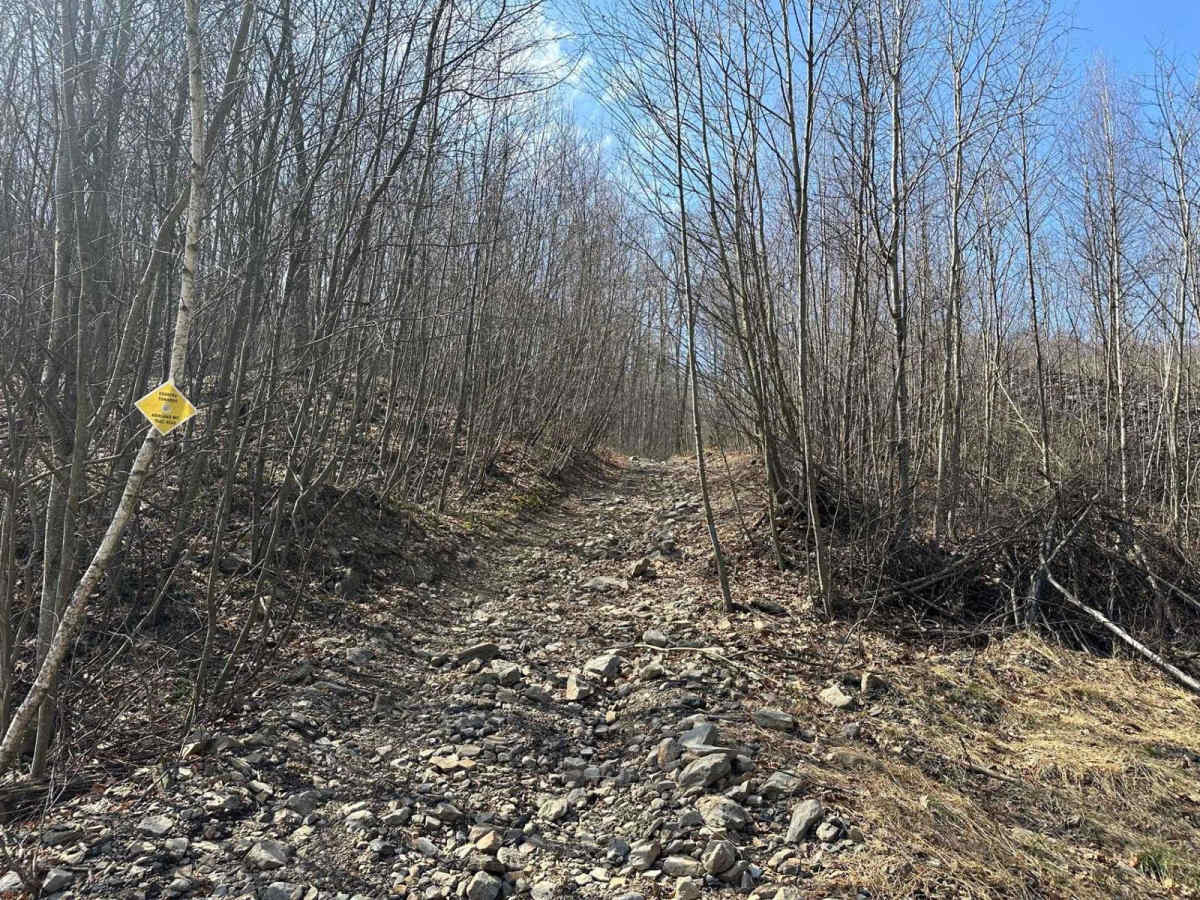 Ashland 112 photo 2