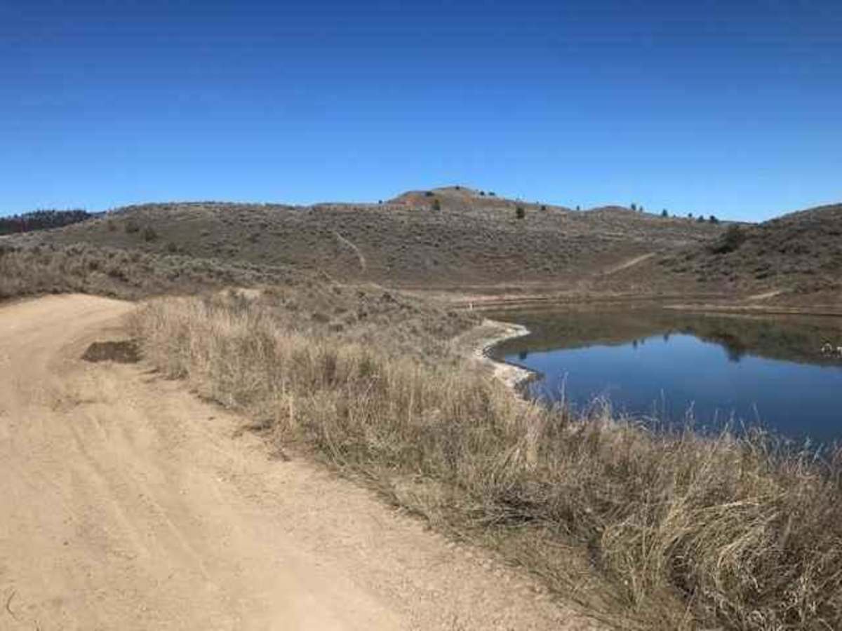 Long Lake Road to McQueen/Isobel Lake Road trail photo