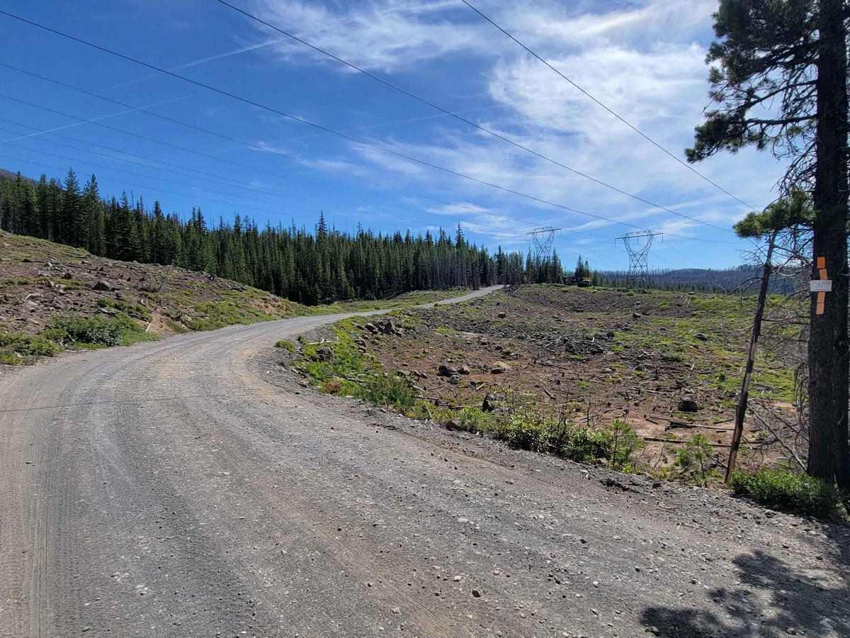 Skyline Road/Olallie Lake - FR 4220 photo 6