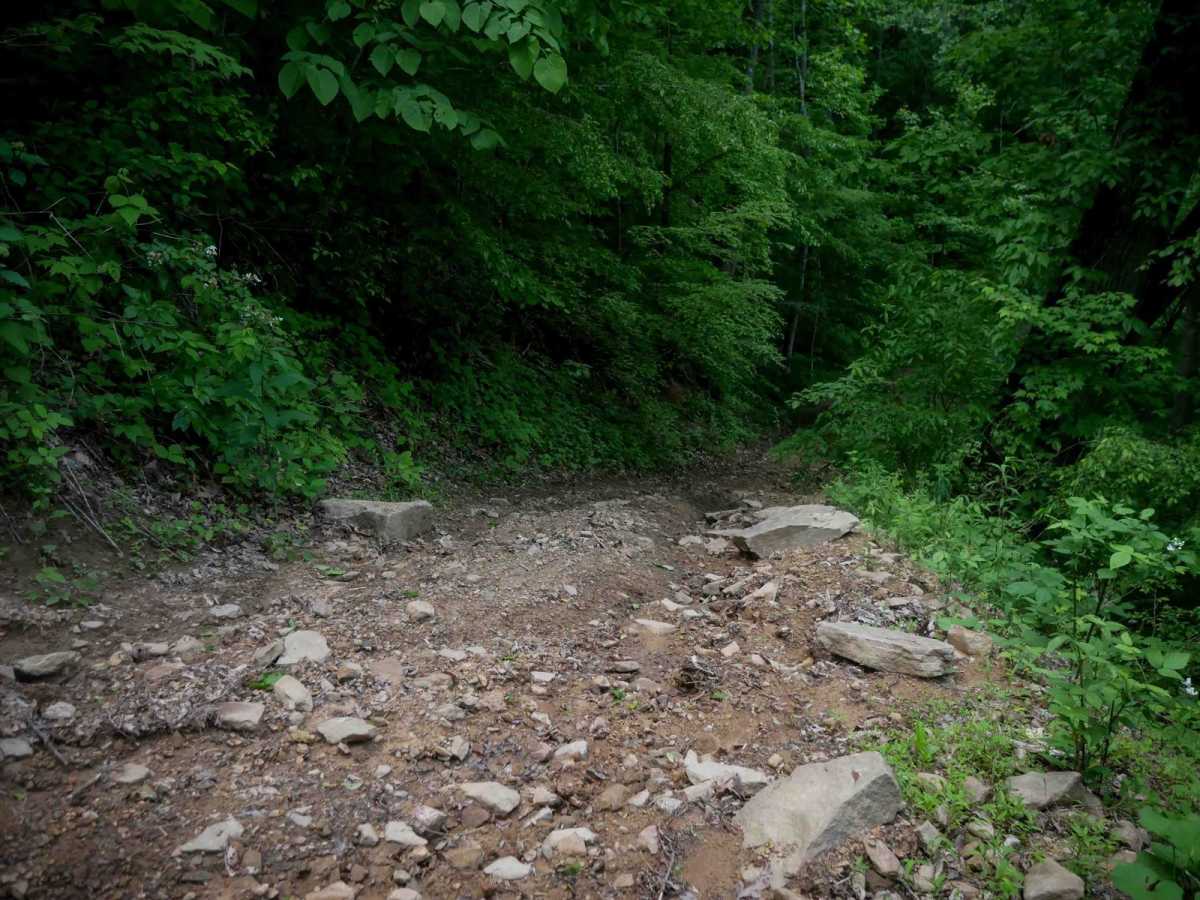 MV56 photo 2