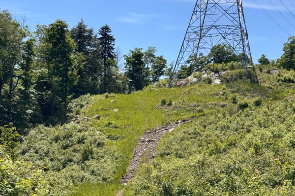 Scenic Powerline Trail 1