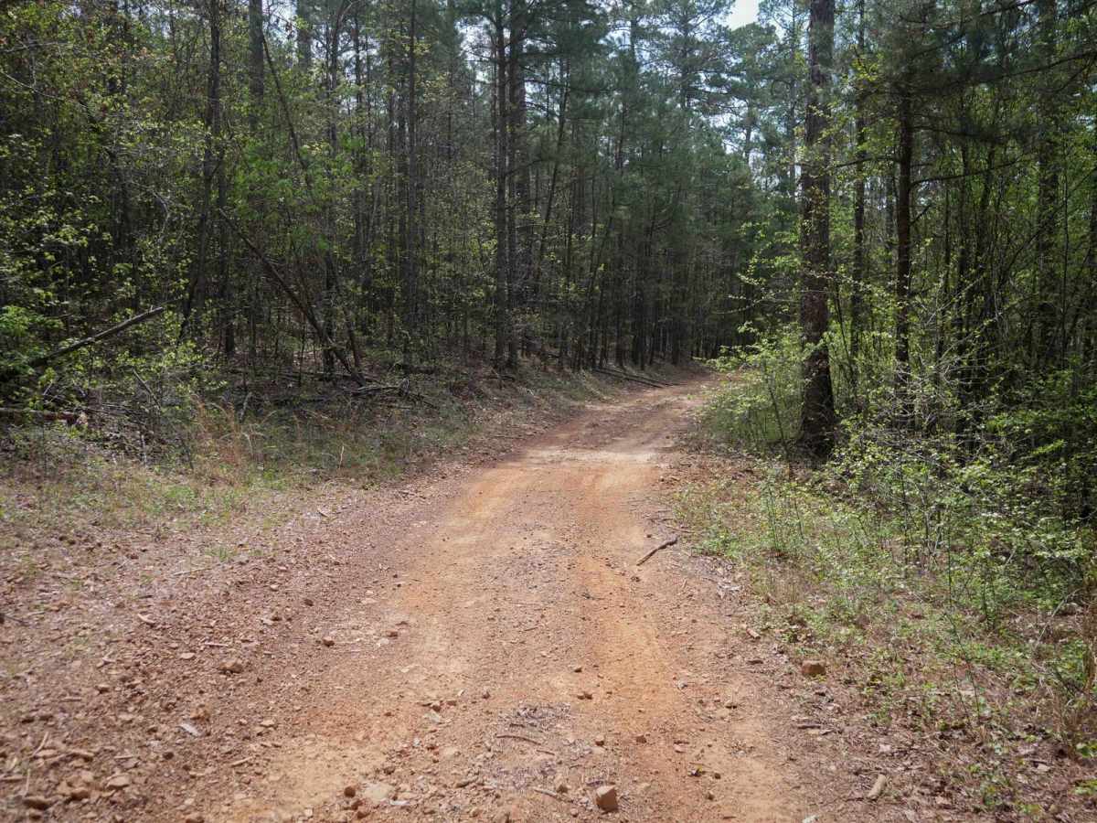Black Oak Ridge Spur South photo 5