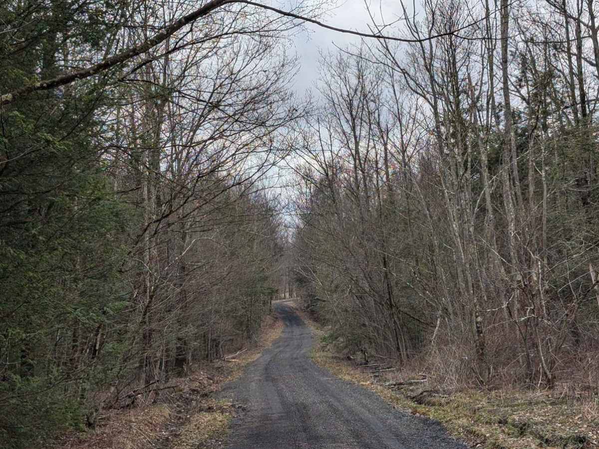 Gould Road photo 4