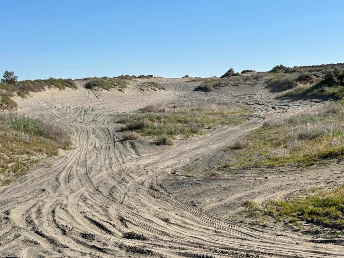 Juniper Dunes Road trail photo