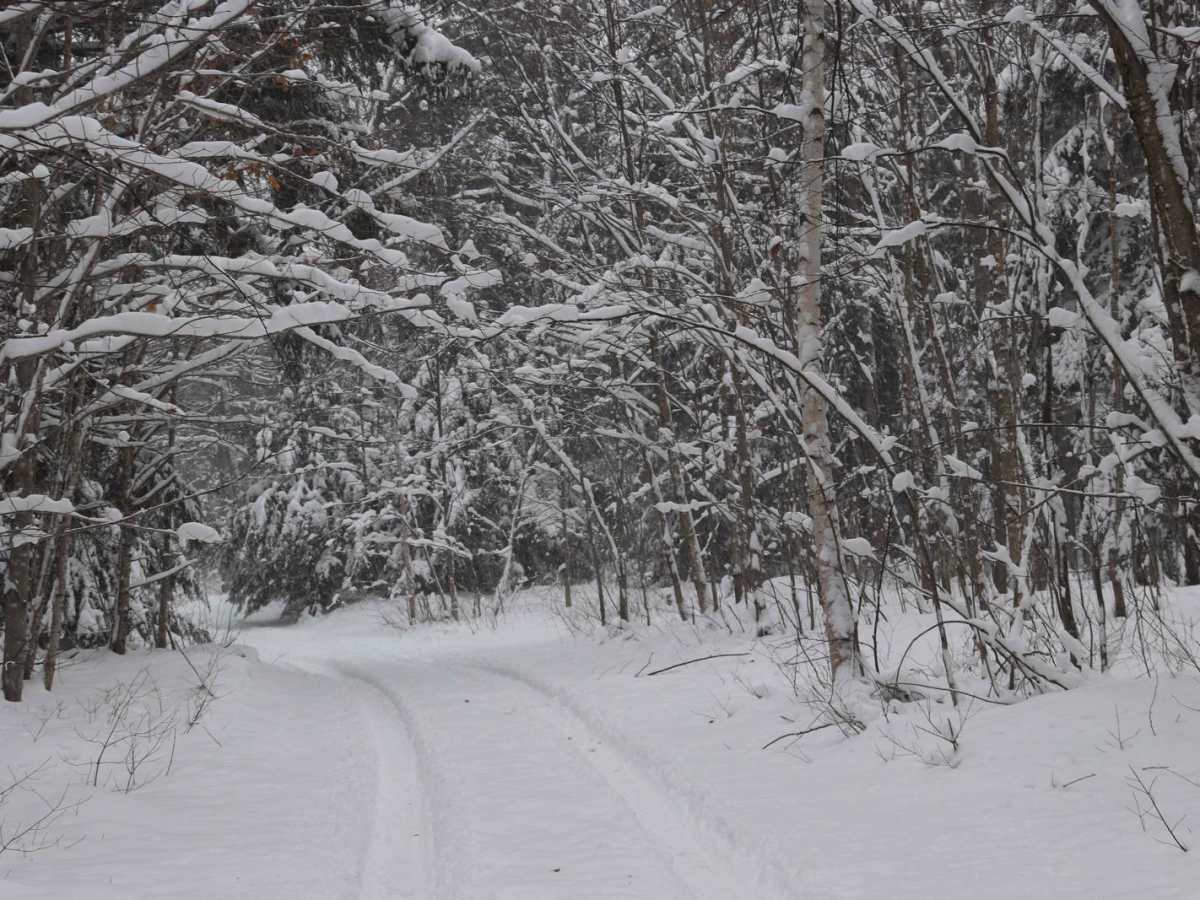 Lake Eva Loop photo 4
