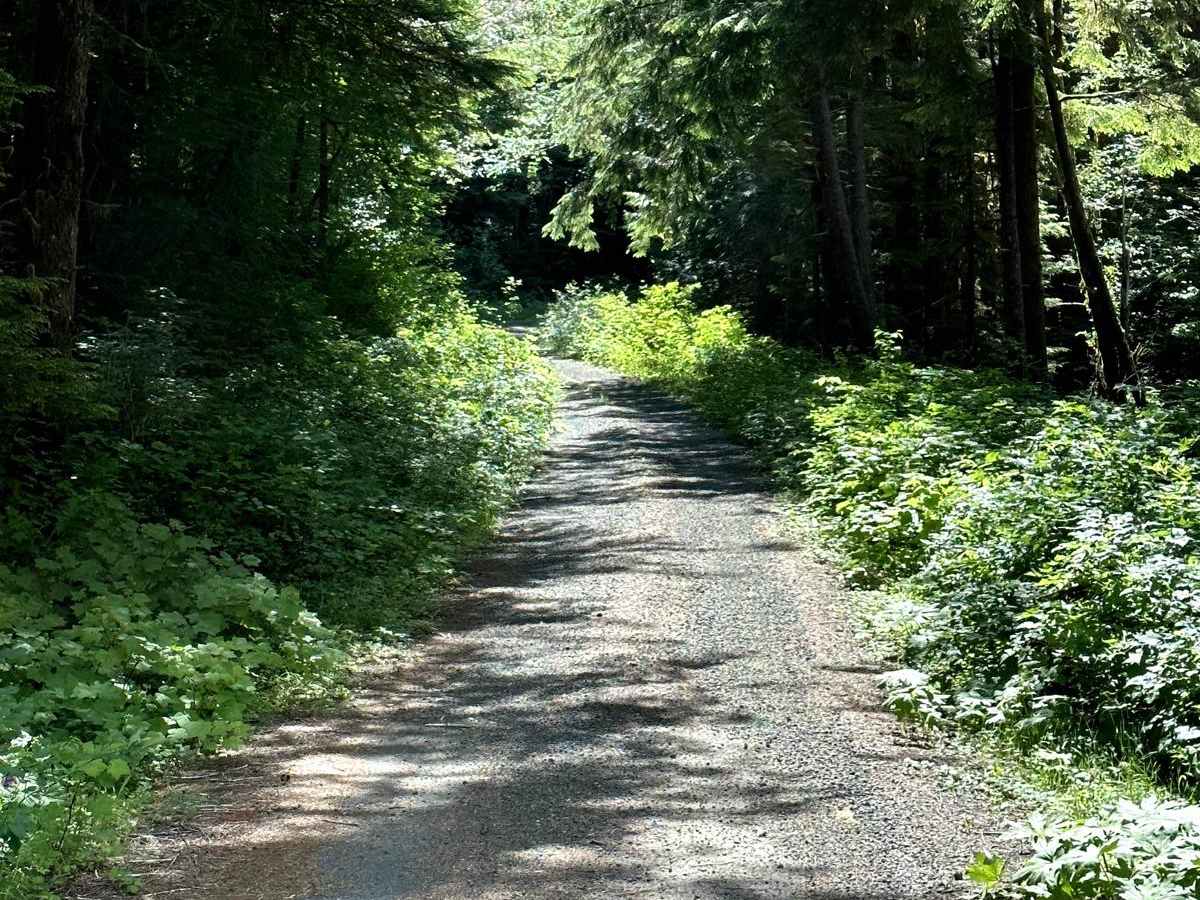 Cougar Mountain Trail photo 4