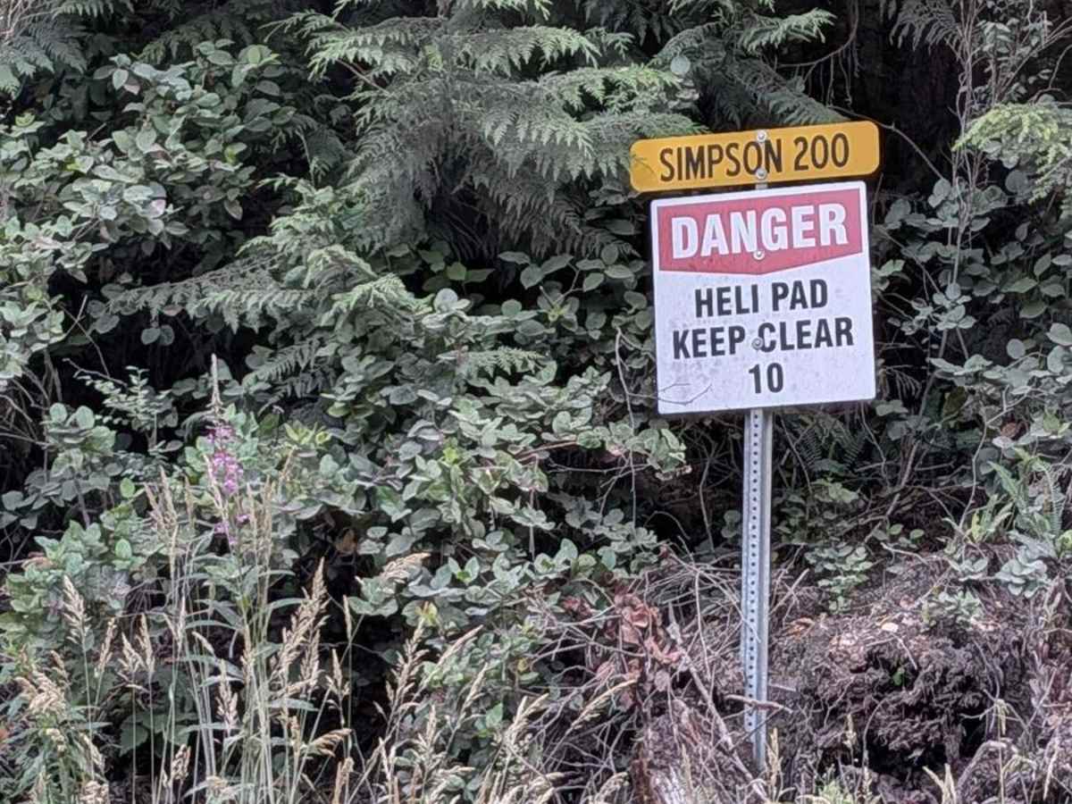 Simpson 200 trail photo