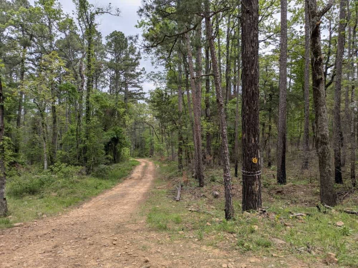 Valentine Ridge photo 6