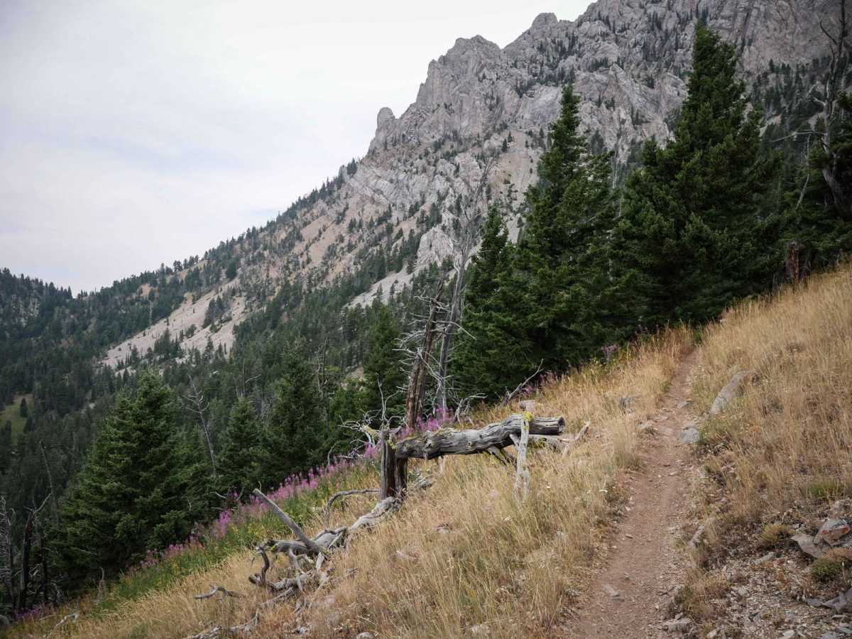 Bridger Ridge photo 2