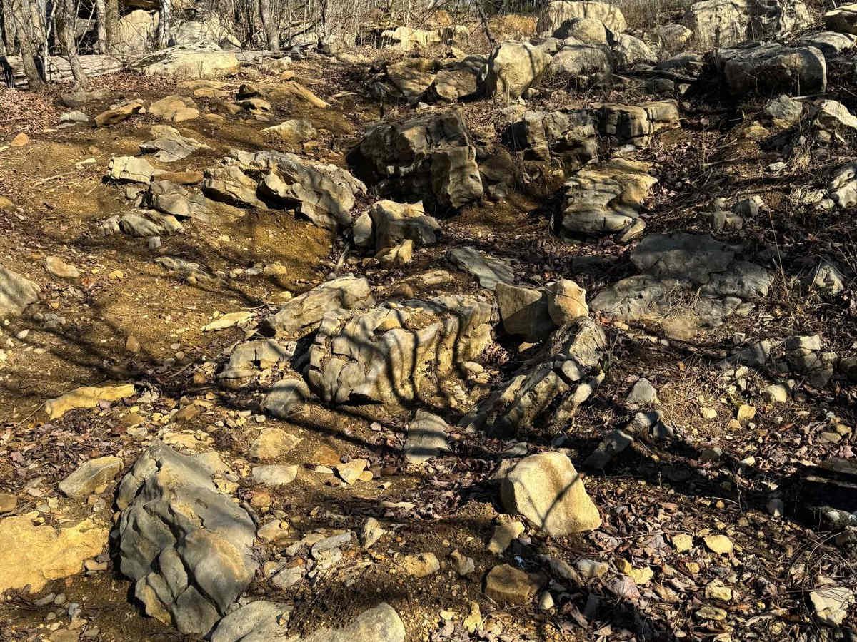 #50 Ol' No.6 trail photo