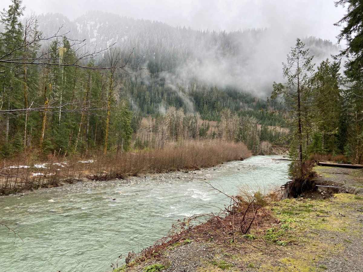Sauk River photo 4