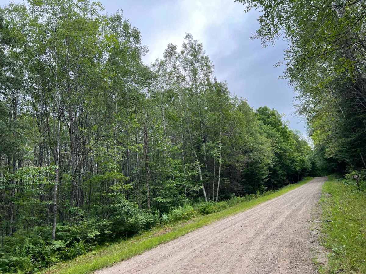 Burnt Bridge Road - FS 2695 photo 3