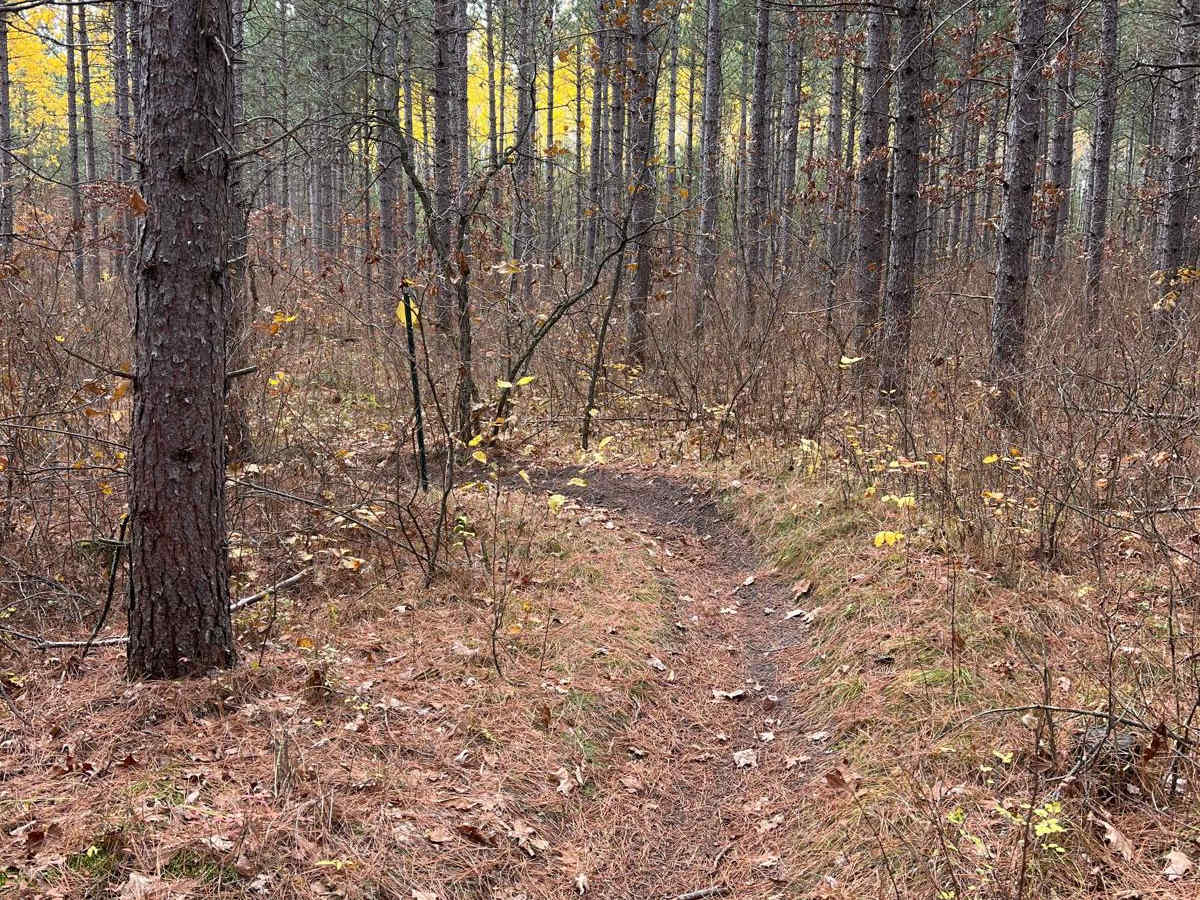 Huntersville East Wooded Free for All Trail photo 2