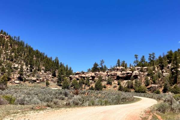 Wolf Draw Trail