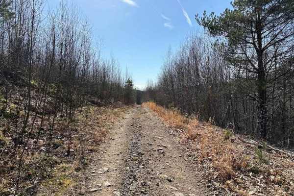 Old Power Plant Road