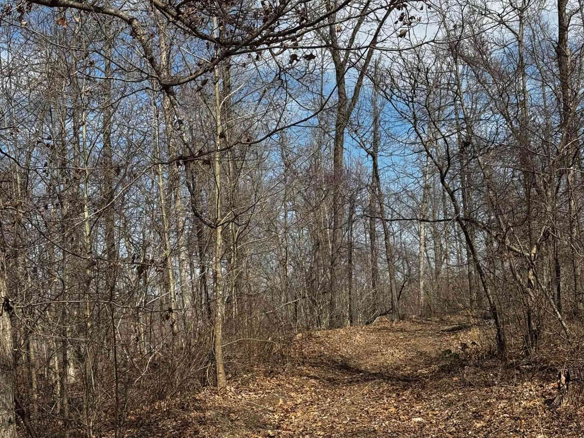 Hilllside Backtrack photo 5