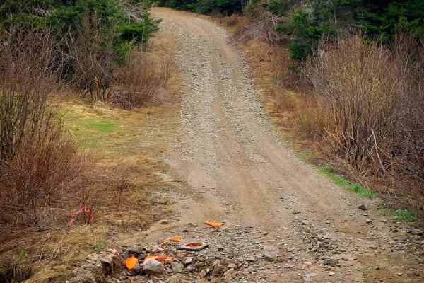 Crooked Creek Trail