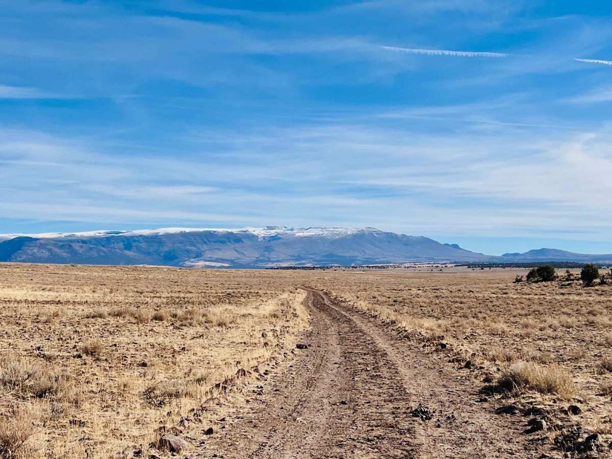 Lauserica Road trail photo