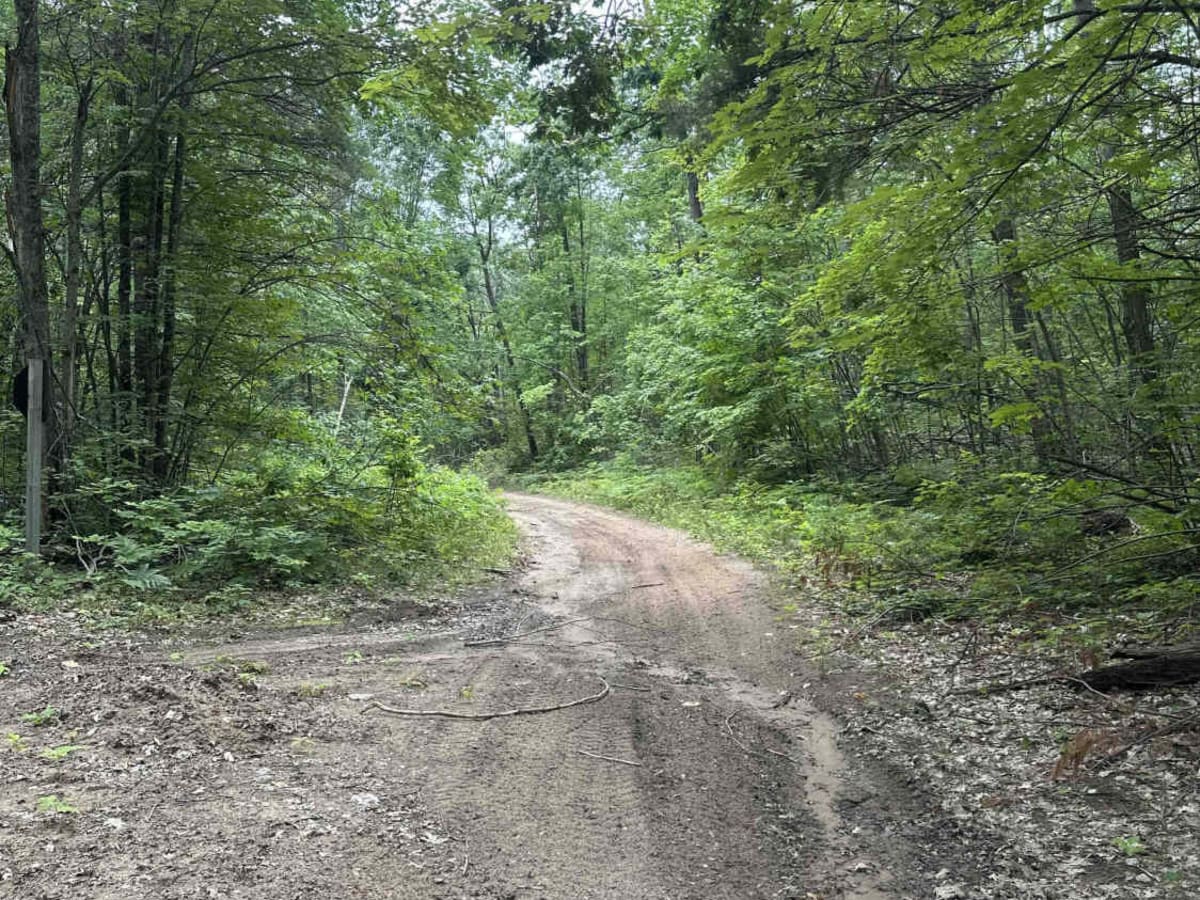 There and Back trail photo