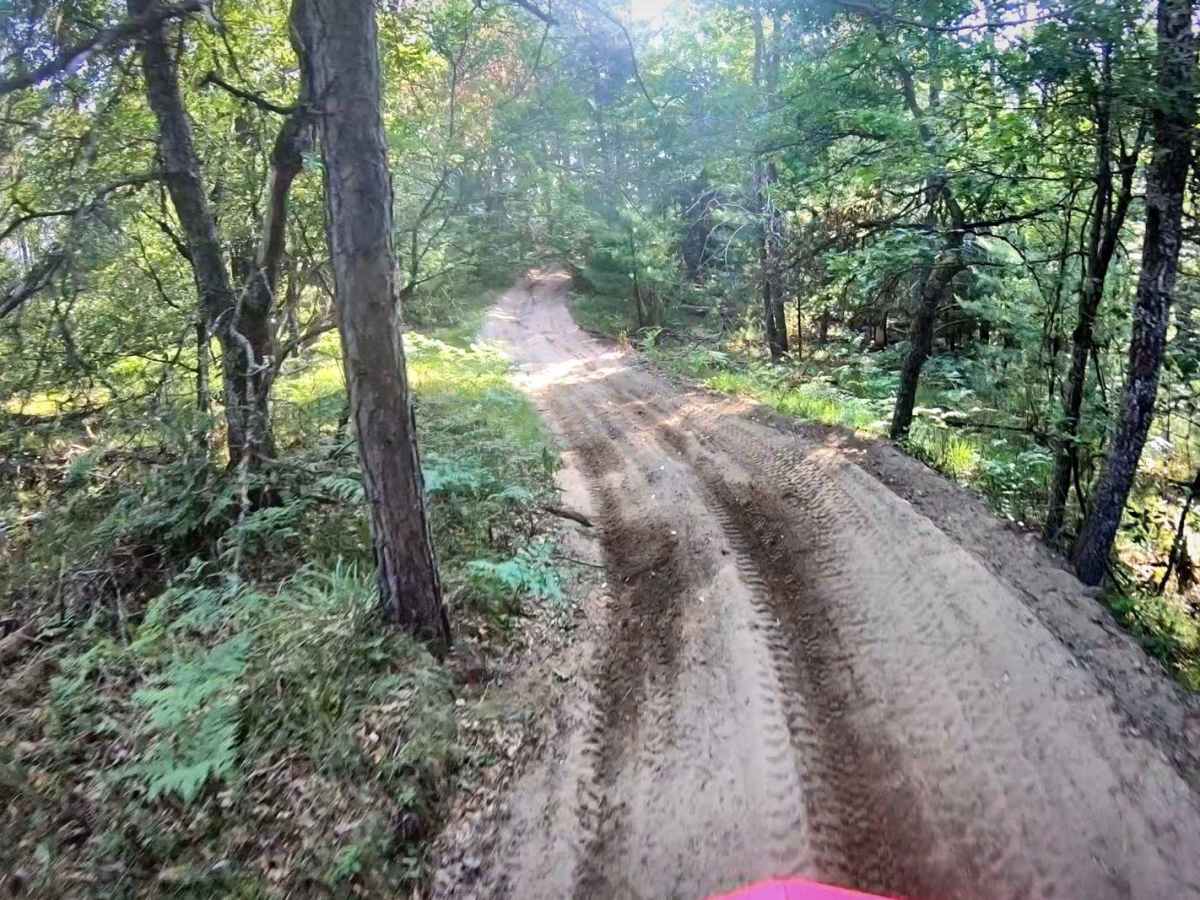 Little Leota Trail photo 4
