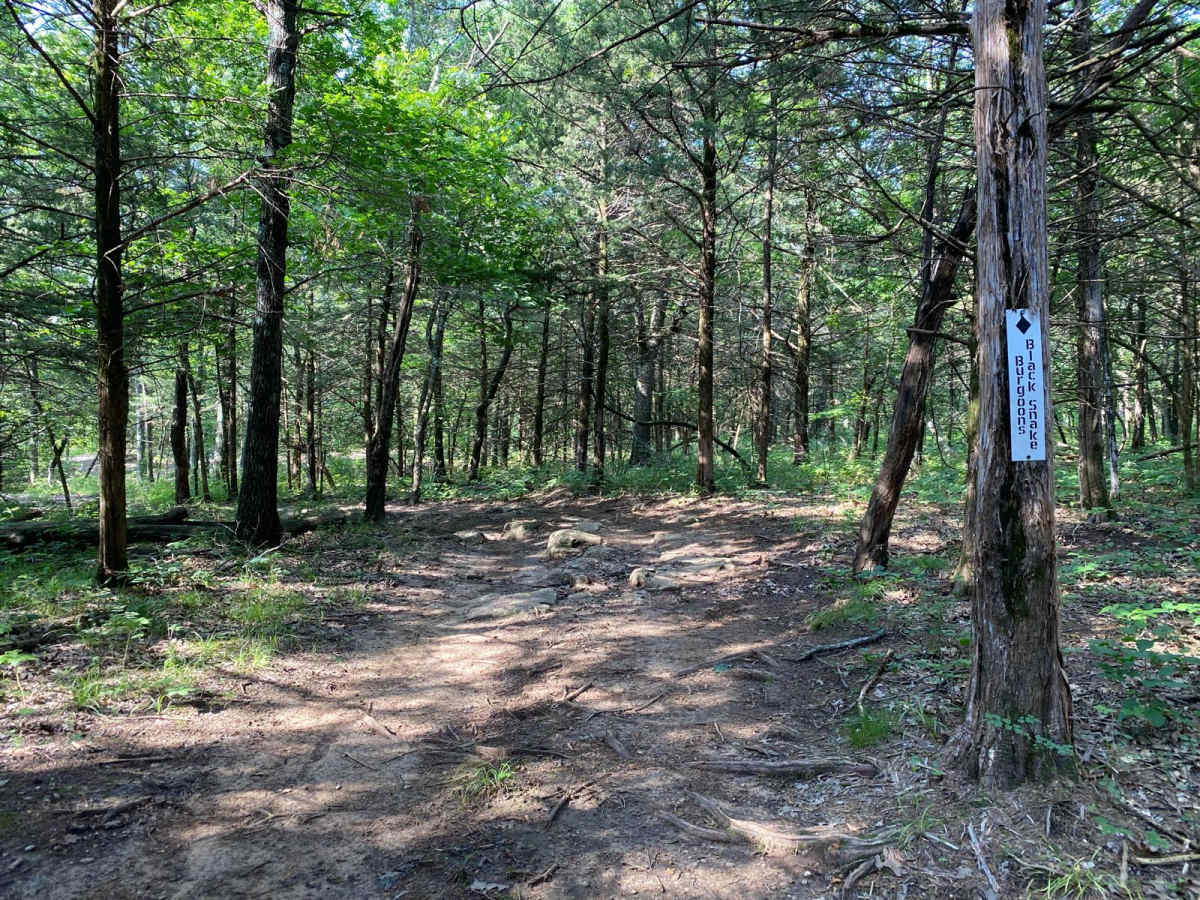 Burgoon's Black Snake trail photo