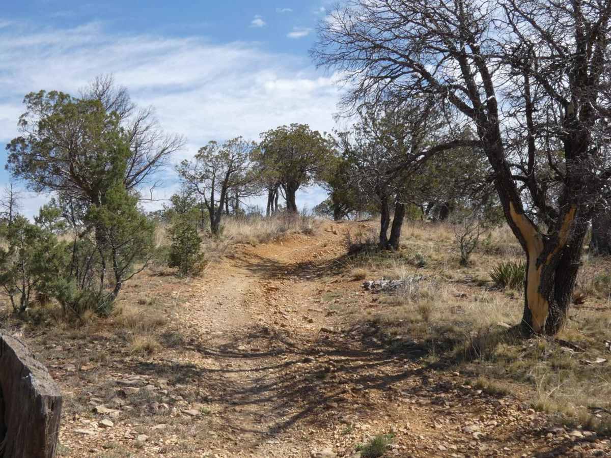 GRT/FS201: Guadalupe Rim Trail photo 4