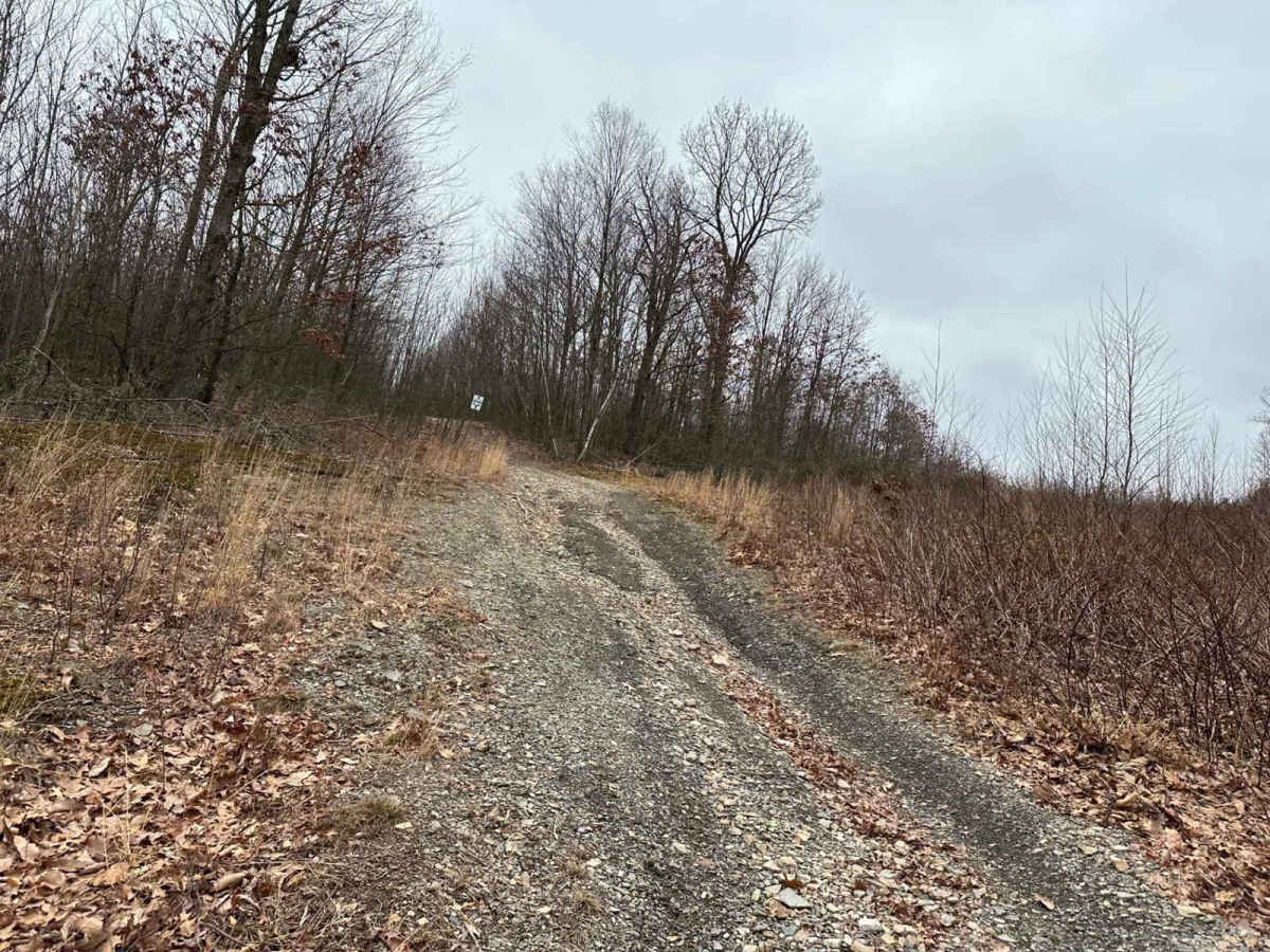 Darkwater 72 trail photo
