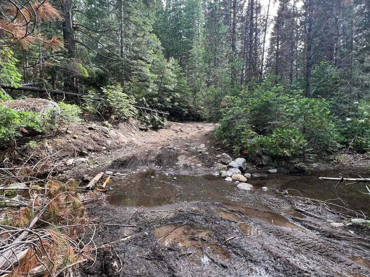 South Fork Stanislaus River Trail (4N90) photo 4