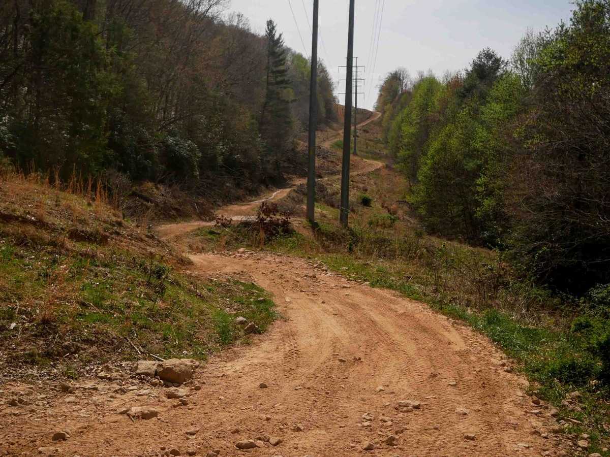 11 trail photo