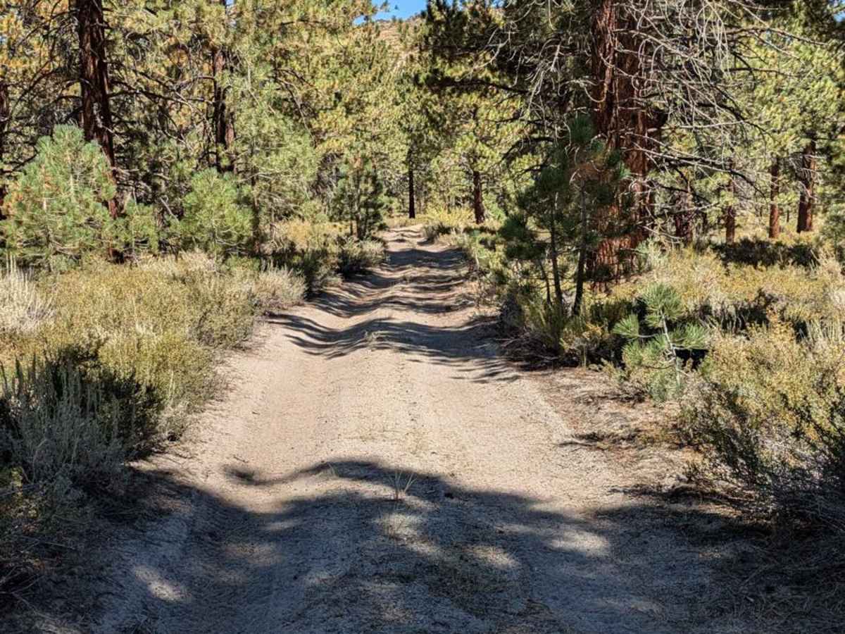 1S90A trail photo