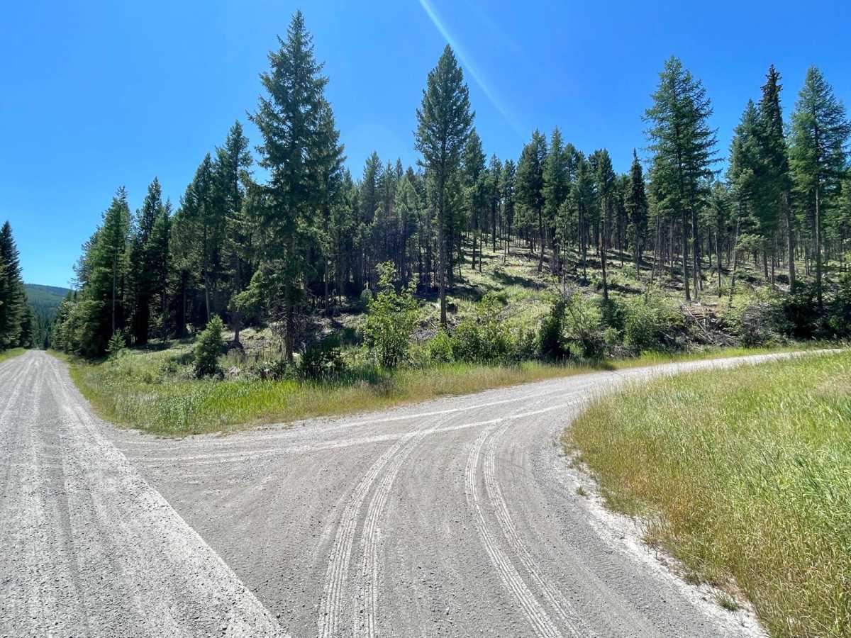 Wild Bill Saddle photo 2