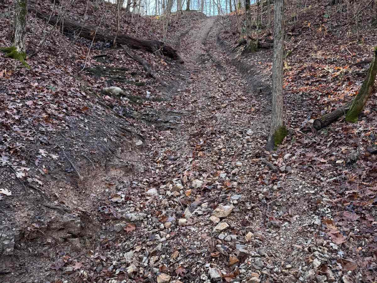 Glenn's Demise 325 trail photo
