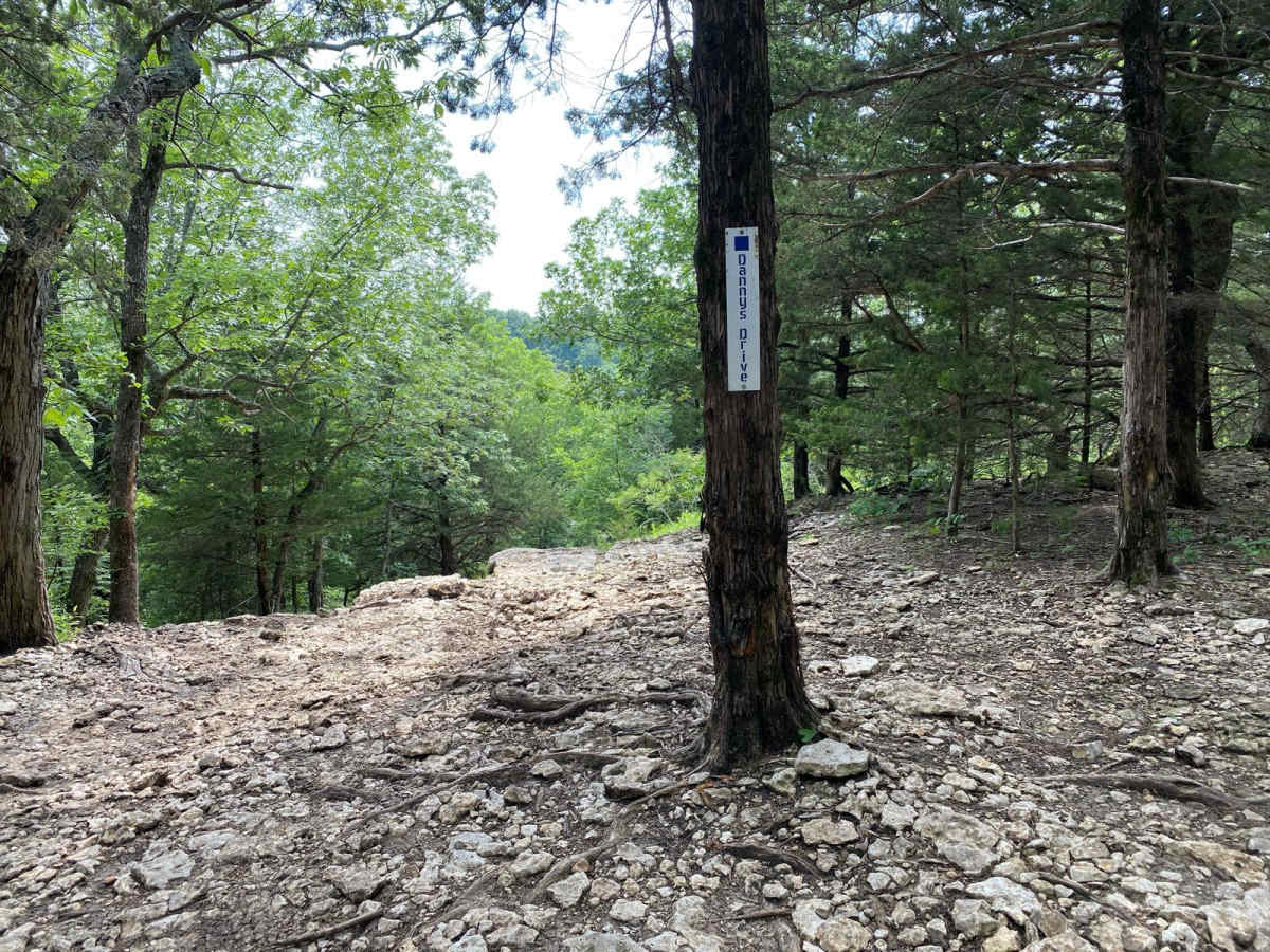 Danny's Drive trail photo