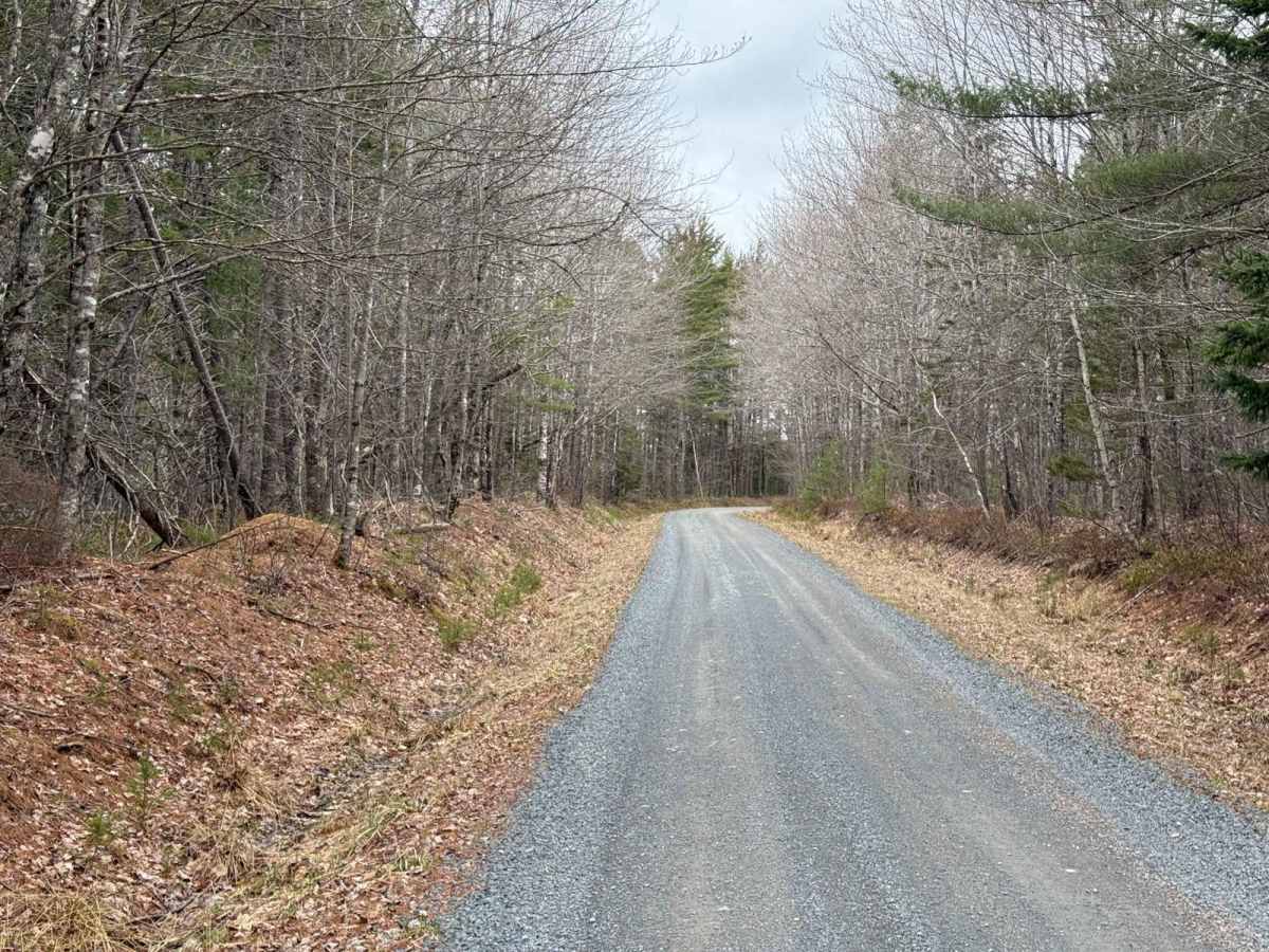 Straight Road Trail photo 6