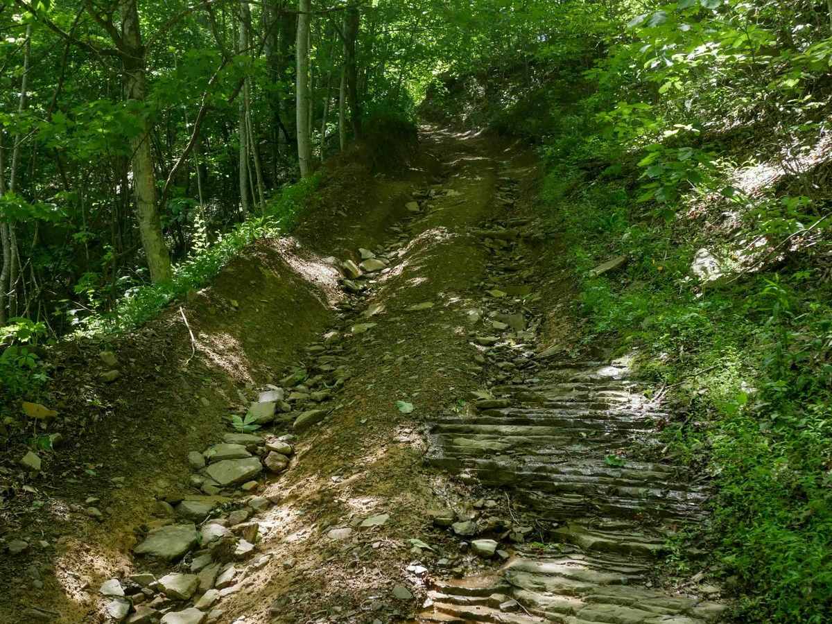 CC501 trail photo