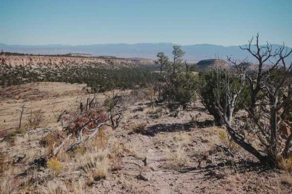 Beanfield Ridge