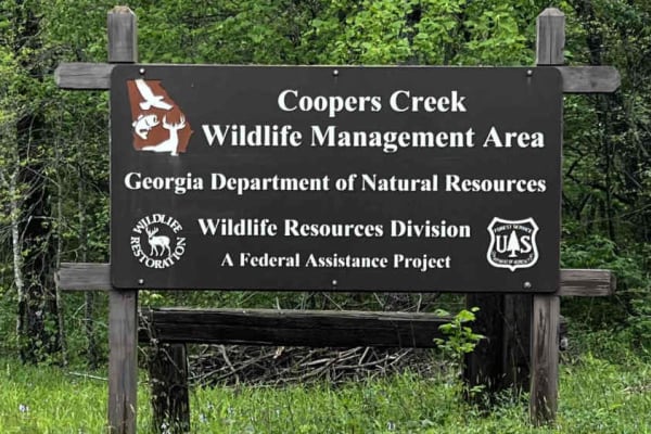 Cooper Creek FS Road 33