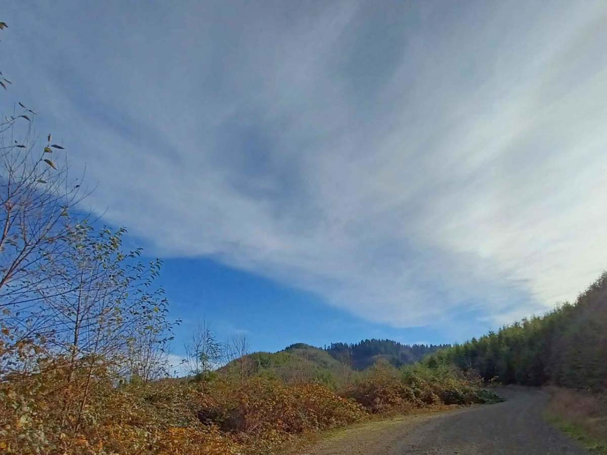 Foland Creek trail photo