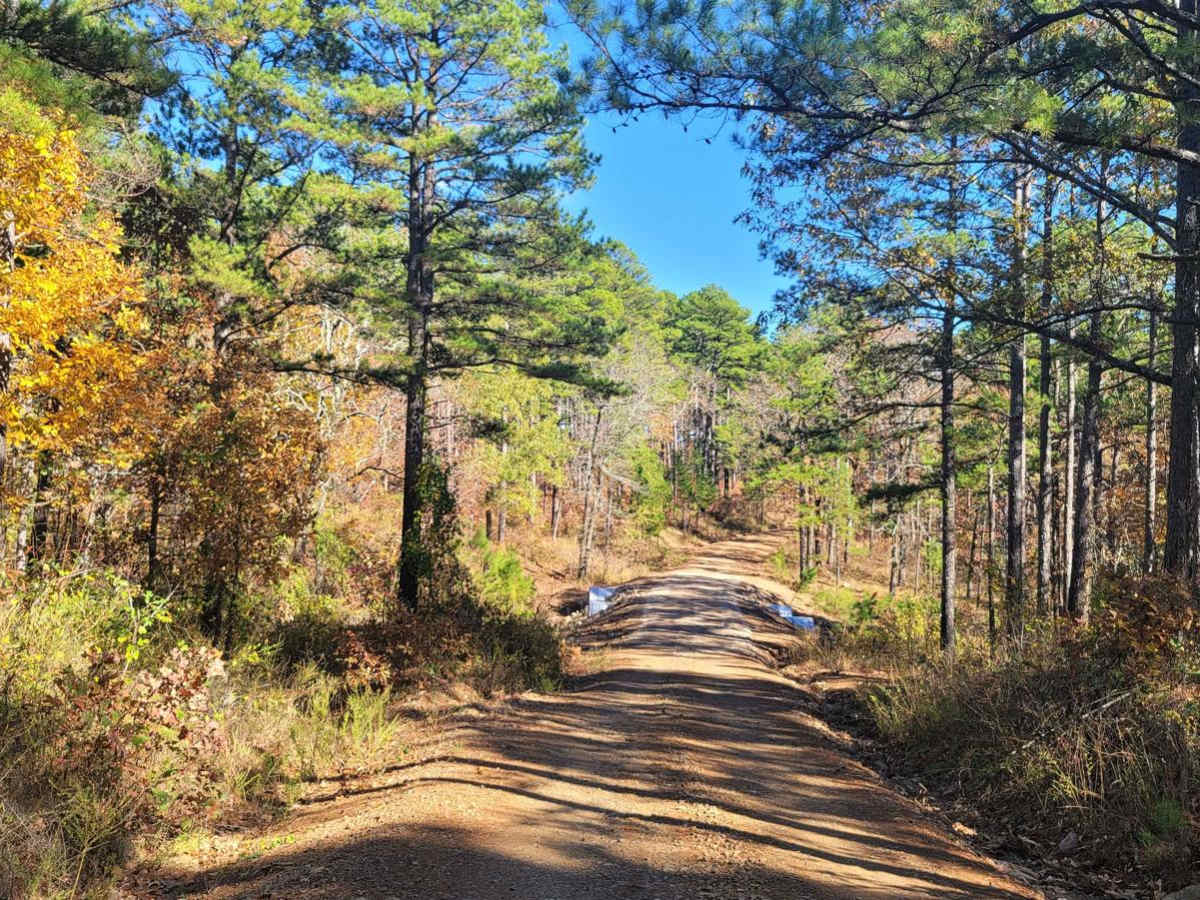 Champ Road to Nella Road photo 3