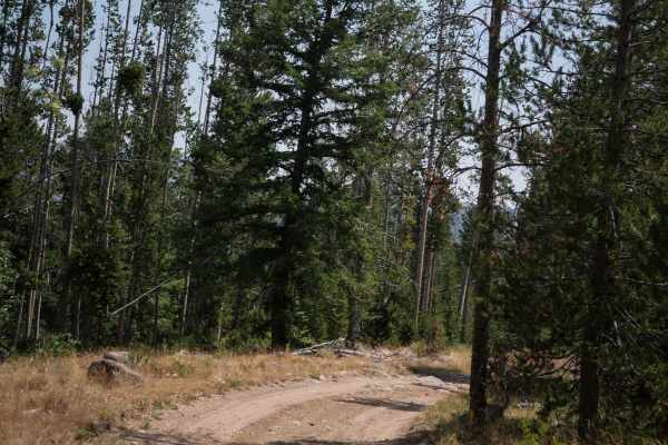Challis Creek Road