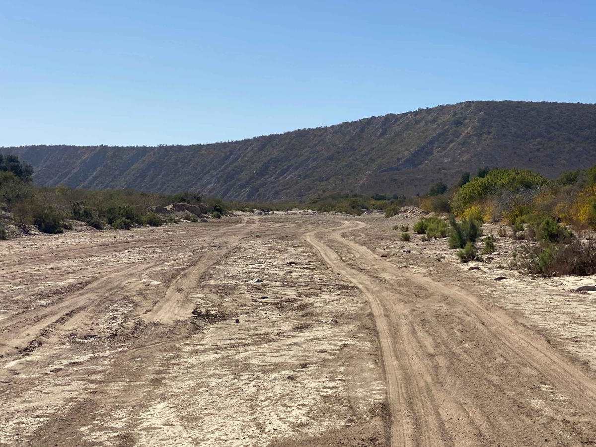 El Encinal photo 2