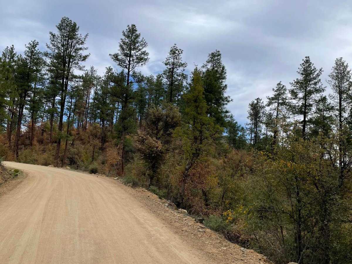Wolf Creek to Senator Highway photo 6