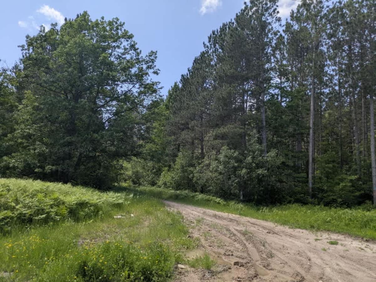 Country Road 158 photo 2