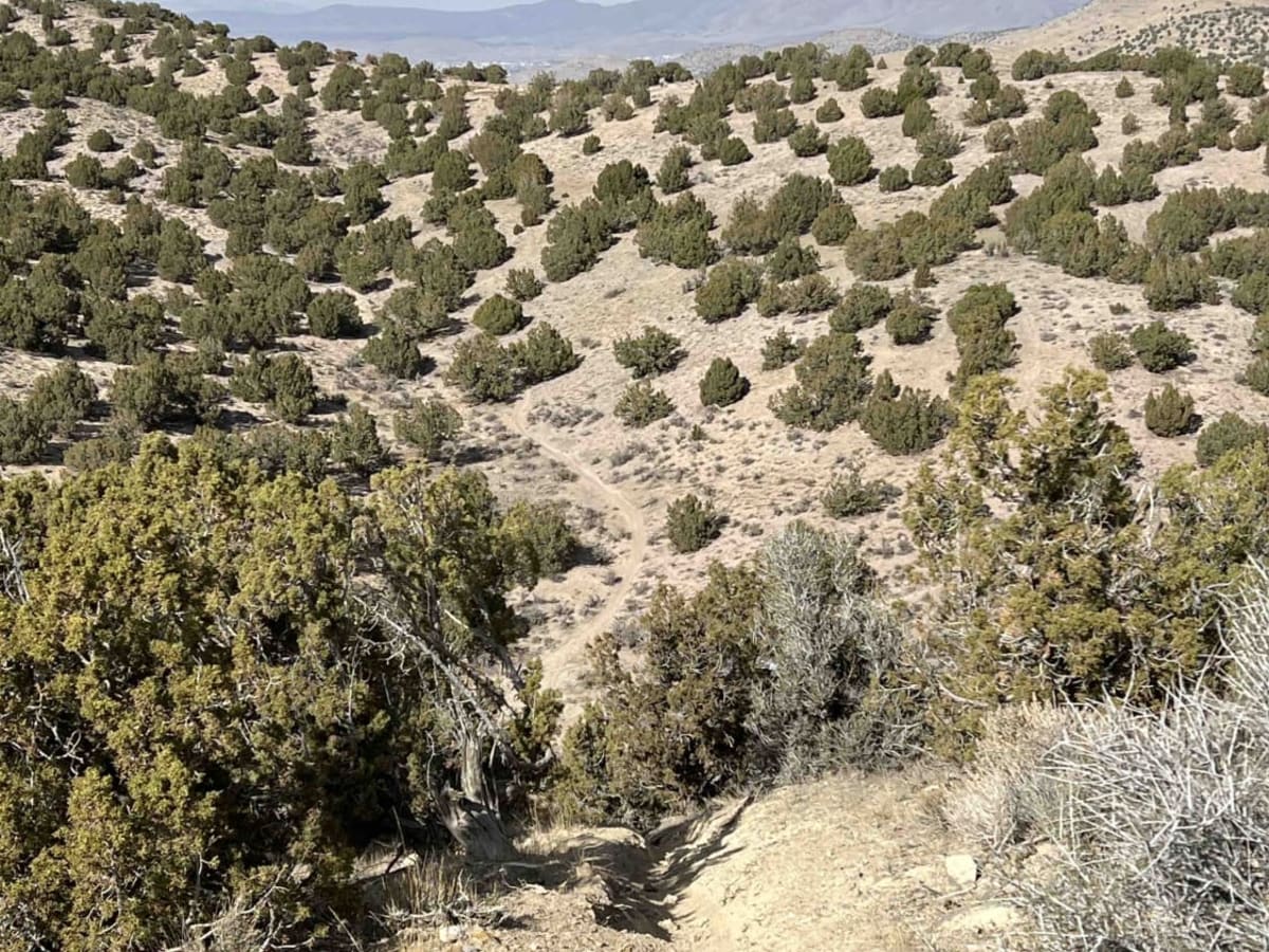 Eagle's Nest trail photo