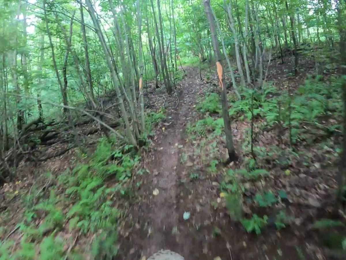 Mountain Ridge ATV Park Singletrack CG photo 4